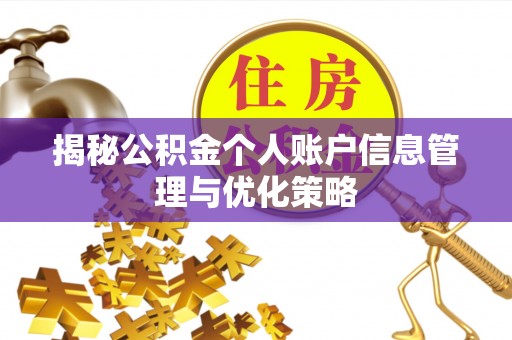 大园揭秘公积金个人账户信息管理与优化策略