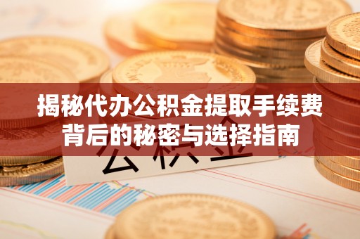 大园揭秘代办公积金提取手续费背后的秘密与选择指南