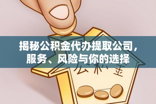 大园揭秘公积金代办提取公司，服务、风险与你的选择