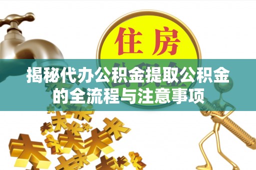 大园揭秘代办公积金提取公积金的全流程与注意事项