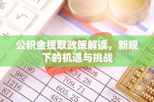 大园公积金提取政策解读，新规下的机遇与挑战