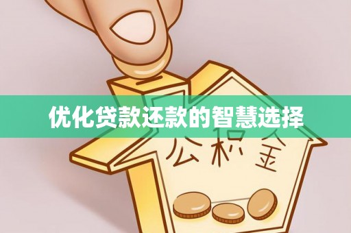 大园优化贷款还款的智慧选择