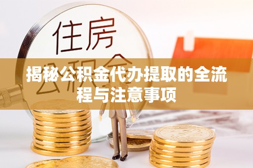 大园揭秘公积金代办提取的全流程与注意事项