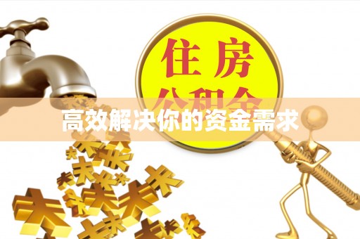 大园高效解决你的资金需求