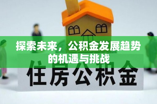大园探索未来，公积金发展趋势的机遇与挑战