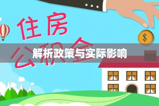 大园解析政策与实际影响