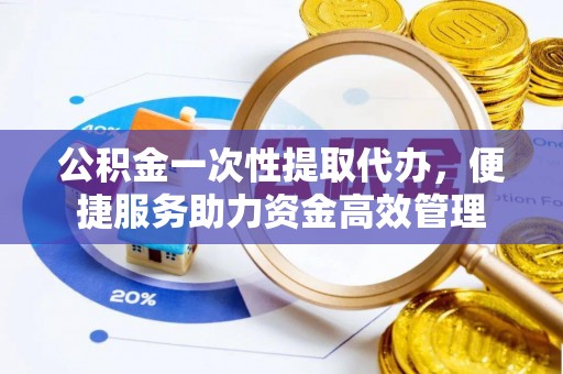 大园公积金一次性提取代办，便捷服务助力资金高效管理