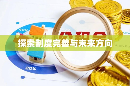 大园探索制度完善与未来方向