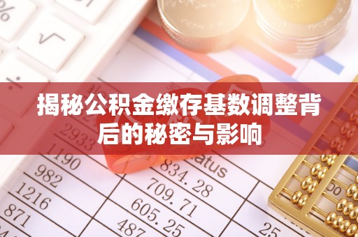 大园揭秘公积金缴存基数调整背后的秘密与影响