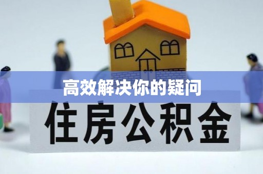 大园高效解决你的疑问