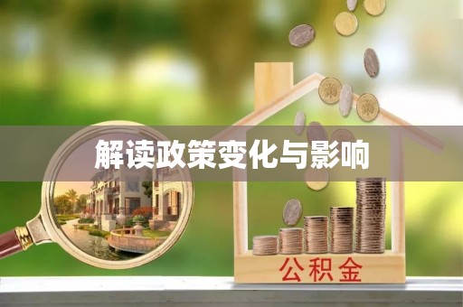大园解读政策变化与影响
