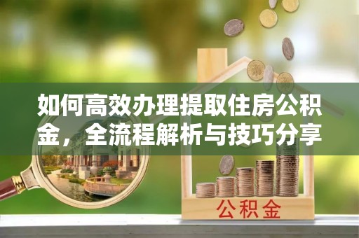 大园如何高效办理提取住房公积金，全流程解析与技巧分享