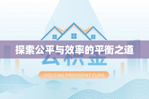 大园探索公平与效率的平衡之道