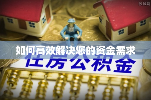 大园如何高效解决您的资金需求