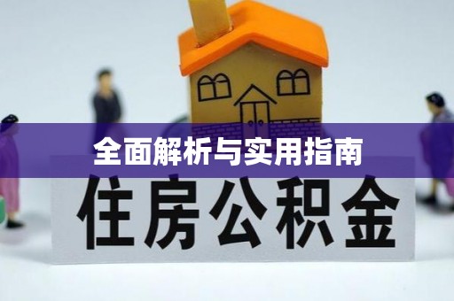 大园全面解析与实用指南