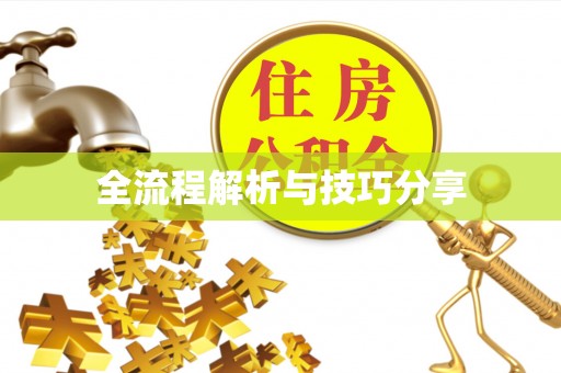 大园全流程解析与技巧分享